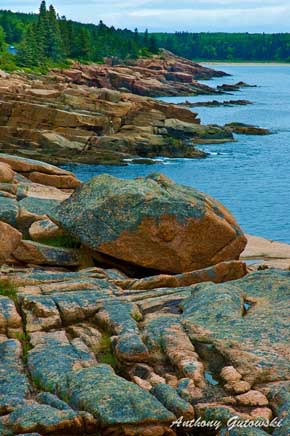 Acadia National Park, Mount Desert Island, Maine, Rocky Shoreline